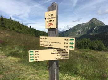 Tour Wandern Abondance - Bassachaux - Aup Couti - Photo