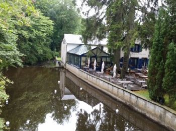 Trail Walking Habay - HABAY-la-NEUVE (Pont d'Oie) - Photo