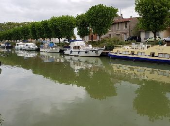Percorso Marcia Moissac - le canal a Moissac  - Photo