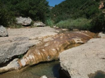 Tocht Stappen Casbas de Huesca - 2017_Formiga-inférieur - Photo