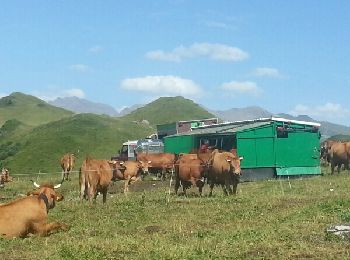 Tocht Stappen Aime-la-Plagne - Gite de la Coise - Gite de plan mya - Photo