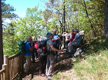 Excursión Senderismo La Chapelle-du-Mont-du-Chat - Mont de la Charvaz - Photo