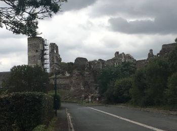 Tocht Andere activiteiten Mauges-sur-Loire - Ingrandes 17.7 km - Photo