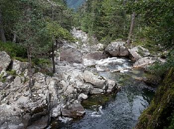 Tour Wandern Cauterets - Chemin des cascades - Photo