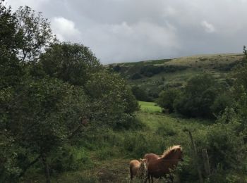 Percorso Cavallo Saint-Chély-d'Aubrac - Aubrac 2017 - jour 4 - Photo