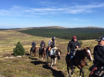 Trail Equestrian Pont de Montvert - Sud Mont Lozère - les Bastides - Chalet du Mont Lozère - Photo