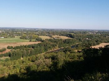 Tocht Stappen Mauzac - Mauzac (la Grange) - Photo