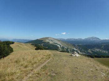 Trail Walking Chamaloc - Nève Aiglette Chironne - Photo