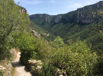 Trail Other activity Massegros Causses Gorges - Atlamed Les Vignes - St Pierre des Tripiers - Photo