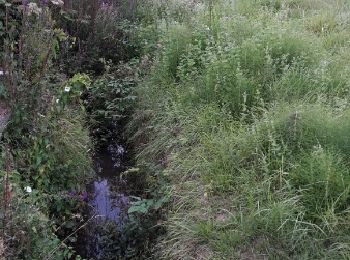 Tocht Stappen Montalet-le-Bois - Les bonnes joies - Photo