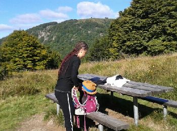 Tocht Stappen Lepuix - du Ballon d'Alsace au Thillot - Photo