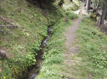 Trail Walking Ernen - Bisse de la Trusera 27.08.17 - Photo