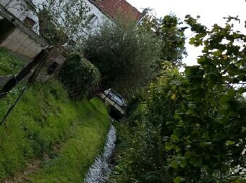 Tocht Stappen Court-Saint-Étienne - Tangissart 12 09 2017 Nathalie Demain - Photo