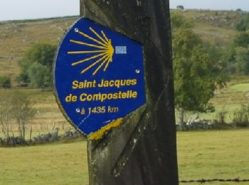 Randonnée Marche Peyre en Aubrac - les 4 chemins - Nasbinals - Photo