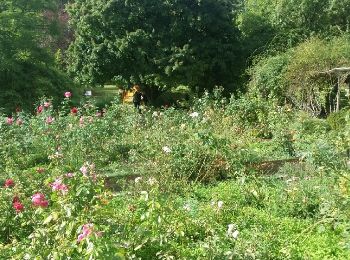 Randonnée Marche Mornac - Le circuit de RAYMOND avec les jardins de Mornac - Photo