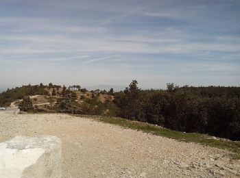 Percorso Marcia Saint-Rémy-de-Provence - Les Baux-Crêtes des Alpilles 11-03-17 - Photo