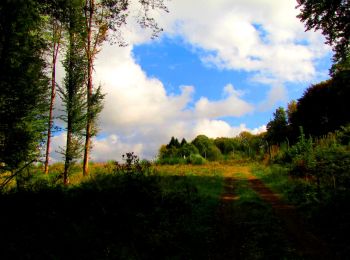 Trail Walking Longpont - en forêt de Retz_57_Longpont_Saint-Pierre Aigle_AR - Photo