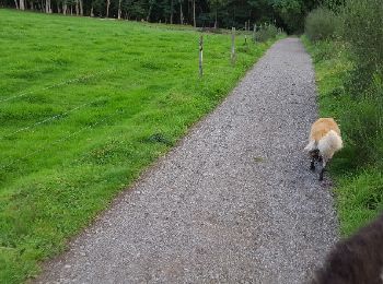 Tocht Paard Neupré - La Rosiere- roche aux faucons -et retour - Photo