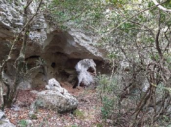 Trail Other activity Sumène - grotte des camisards - Photo