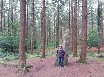 Tour Fahrrad Baud - Baud et la forêt de Camors - Photo