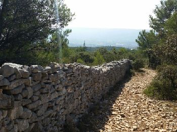 Trail Walking Lagnes - ISLE-sur-la-SORGUE (LAGNES ... Mur de la Peste. - Photo