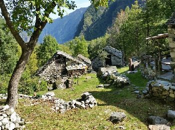 Tour Wandern Antrona Schieranco - antrona - Photo