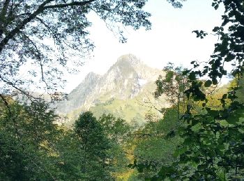 Trail Walking Seix - Cabane d'Aula - Photo