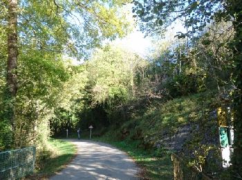 Trail Walking Val-de-Sos - 170927 EnCours - Photo