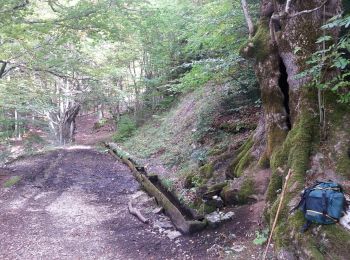 Trail Walking Chichilianne - Le Platary - Photo