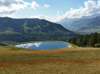 Tour Wandern Megève - circuit col du Christ -Le Montjoux-Mt d'Arbois Hte Savoie 2017-09-27 - Photo