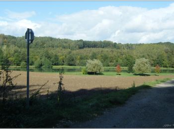 Randonnée Vélo Boissy-Fresnoy - Voie verte du Valois - Photo