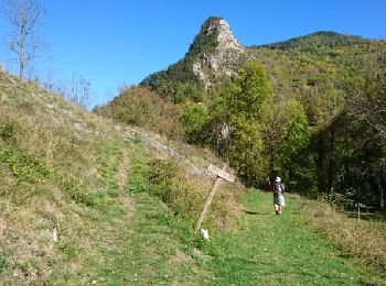 Tocht Stappen Val-de-Sos - 171005 EnCours - Photo