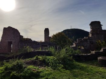 Excursión Senderismo Neubois - frankenbourg 4.10.17 - Photo