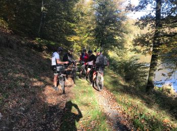 Trail Mountain bike Herbeumont - 20171015 Herbeumont Yeyette J3 - Photo