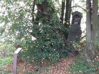 Tour Wandern Lasne - Lasne Nature Renival-Chapelle Robert 17-10-2017 - Photo