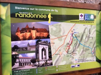 Tour Wandern Gy - circuit de Bellevue de gy - Photo