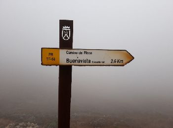 Trail Walking Buenavista del Norte - Camino del Risco - Photo