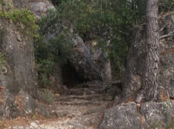 Tour Wandern Saint-Cézaire-sur-Siagne - Pont des Tuves du village et retour - Photo