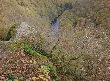 Trail Walking La Roche-en-Ardenne - Celtes et Ourthe - Photo