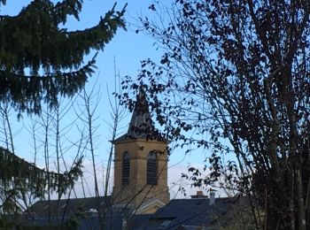 Tocht Noords wandelen Étalle - Bois de Chantemelle  - Photo