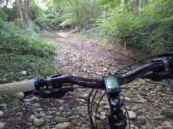 Trail Mountain bike Saint-Pierre-de-Chandieu - autour de la ferme de savoye vers luzinay - Photo