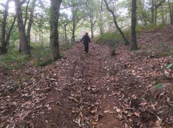 Trail Walking Ploërmel - 2017-11-01 LA CHATOULLETTE - Photo