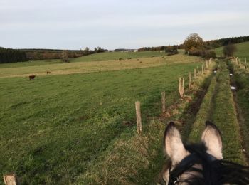 Tocht Paard Neufchâteau - Cousteumont et le bois d'Ospau - Photo