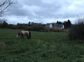 Trail Equestrian Neufchâteau - Cousteumont - Hamipré par Marbay et Mon Idée  - Photo