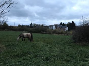 Tocht Paard Neufchâteau - Cousteumont - Hamipré par Marbay et Mon Idée  - Photo