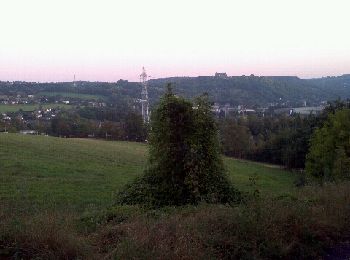 Randonnée Marche Liège - Grivegnée - Terril Basse Ransy Nord - Vaux-sous-chèvremont - Photo