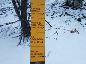 Randonnée Raquettes à neige Léoncel - Grand Echaillon 16 11 2017 - Photo