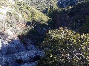 Trail Walking Auriol - la crete des infernets - Photo