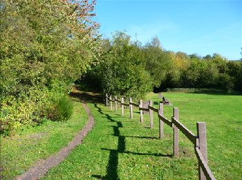 Trail Walking Quaregnon - La balade des terrils à Quaregnon - Photo