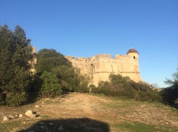 Tour Wandern Nizza - venigrier fort saint Alban - Photo